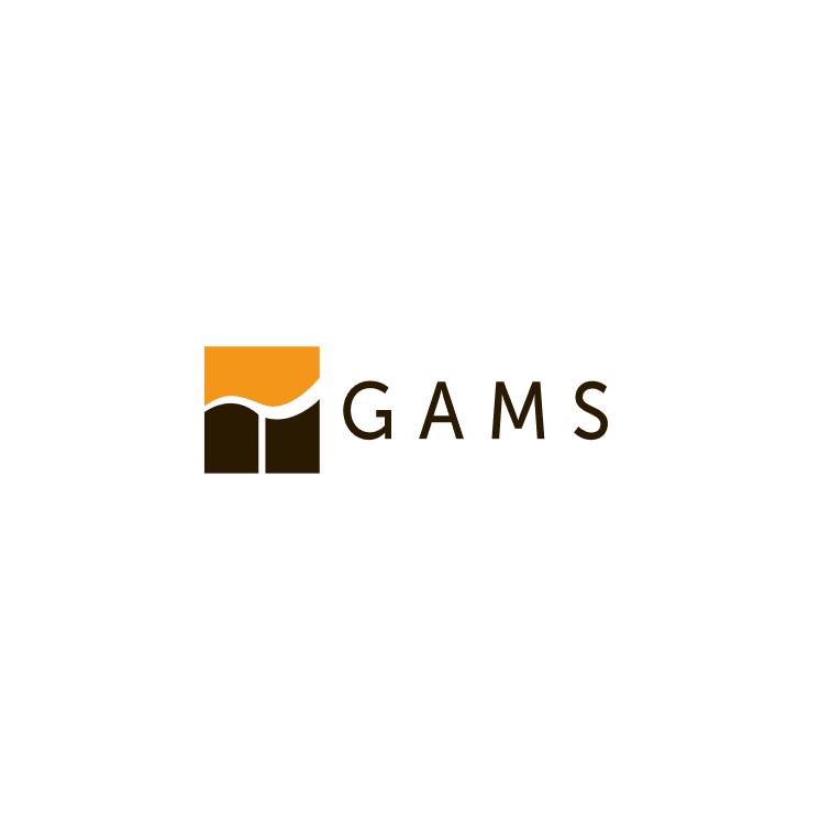 GAMS  數學模型軟體