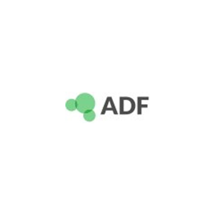ADF 2020 量子化學軟體