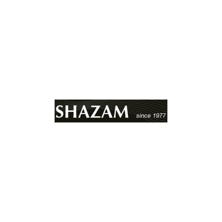 SHAZAM v11.4 計量經濟學軟體
