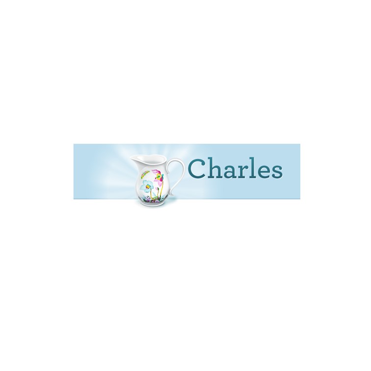 Charles 4.6.2 網路流量管理軟體